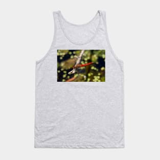 Red-Tailed Pennant Dragonfly Tank Top